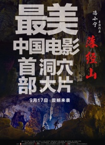 四虎永久在线精品免费影视